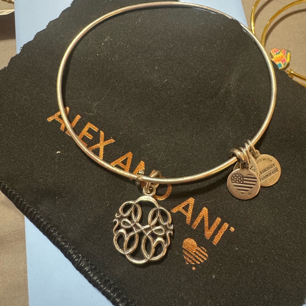 Alex and ani Knot Silver Bracelet
